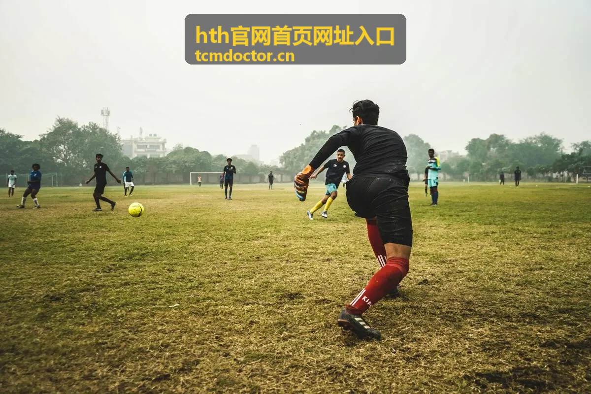 hth官网首页网址入口常见问题答疑封面