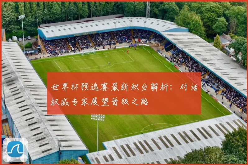 世界杯预选赛最新积分解析：对话权威专家展望晋级之路