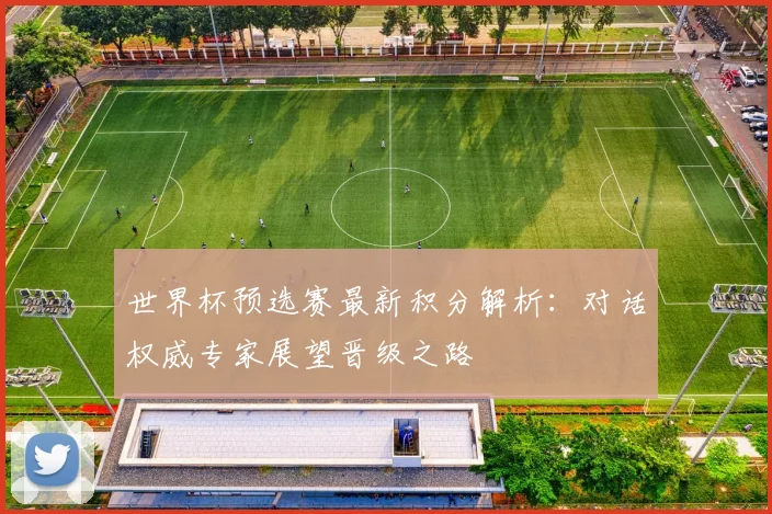 世界杯预选赛最新积分解析：对话权威专家展望晋级之路