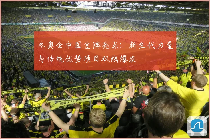 冬奥会中国金牌亮点：新生代力量与传统优势项目双线爆发