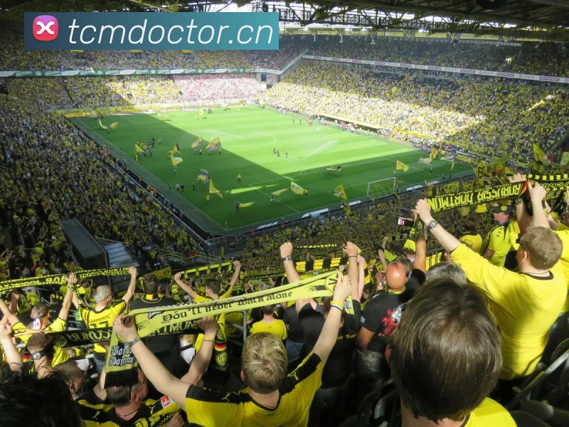 云开体育官网登录入口APP 封面图